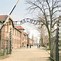 Image result for Auschwitz I