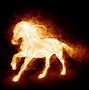 Image result for Fan Art Fire Horse