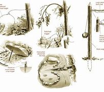 Image result for Primitive Animal Traps and Snares