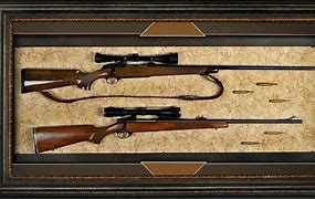 Image result for Rifle Display
