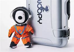 Image result for snoopy artemis 1