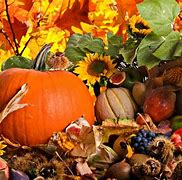 Image result for Fall Harvest Autumn Wallpaper