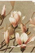Image result for Magnolia Paint Carboard Display