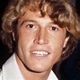 Image result for Bee Gees Andy Gibb Death