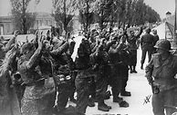 Image result for Waffen SS Female