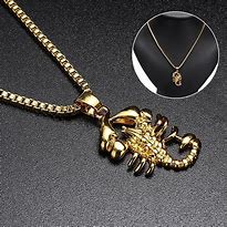 Image result for Scorpion Jewelry