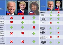 Image result for Us Political Party Comparison Chart