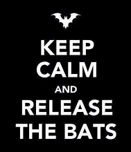 Image result for Keep Calm and Kill with Bats