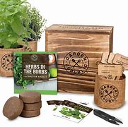 Image result for Indoor Kitchen Herb Garden Kit