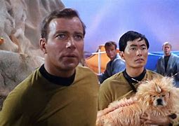 Image result for Number One in Star Trek Dog