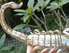 Image result for Scorpion Artificial Home