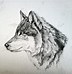 Image result for Drawings of Wolves