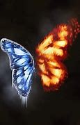 Image result for Fire and Ice Butterfly Wallpaper