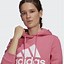 Image result for Adidas Big Logo Fleece Hoodie