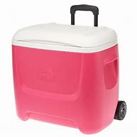 Image result for Cute Coolers