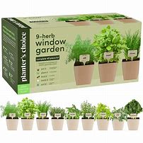 Image result for Indoor Kitchen Herb Garden Kit