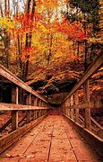 Image result for Free Autumn Wallpaper for Kindle