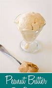 Image result for Revel Ice Cream Maker Recipes