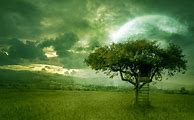 Image result for Kindle Fire Background Trees