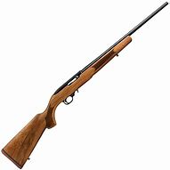 Image result for 22 Long Rifle Semi-Automatic
