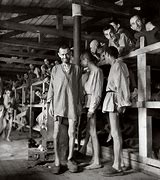 Image result for British Concentration Camps