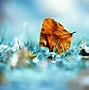 Image result for Amazing Beautiful Cool Cute Wallpaper