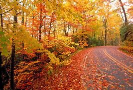 Image result for pictures of fall leaves falling