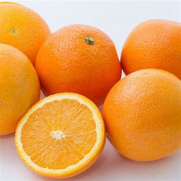 ネーブルオレンジ　フリー画像 に対する画像結果