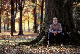 Image result for Shelby Foote Gravesite