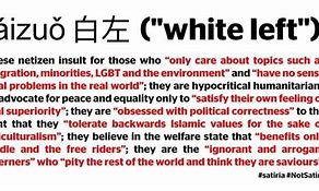 Image result for Baizuo White Left