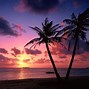 Image result for Tropical Sunset Wallpaper