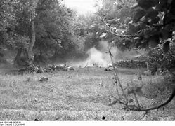 Image result for Massacre of Kondomari
