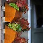 Image result for Wall Mounted Planters