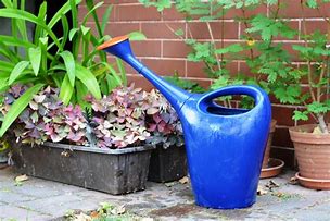 Image result for Self Watering Plant Pots