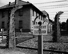 Image result for Josef Mengele Medical Experiments