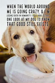 Image result for Cute Animals with Funny Quotes