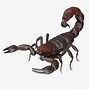 Image result for Scorpion 3D Model