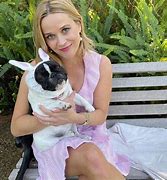 Image result for Reese Witherspoon French Bulldog