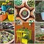 Image result for Indoor Planter Ideas