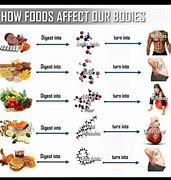 Image result for Healthy Food vs Bad Food