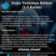 Image result for Dogu Tuerkistan Buelteni