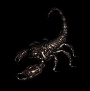 Image result for Mecha Scorpion