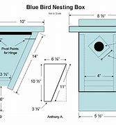Image result for Bird House Building Plans