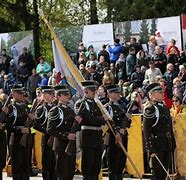 Image result for Latvian Army Officer