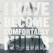 Image result for Comfortably Numb Quotes