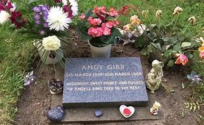 Image result for Andy Gibb Grave