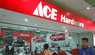 Image result for Ace Hardware Product Search Gate Hinges