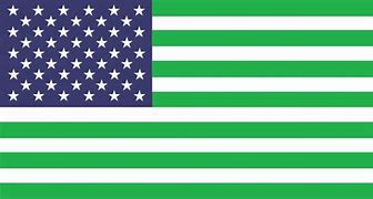 Image result for USA Flag