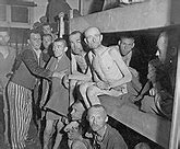 Image result for Ebensee Concentration Camp Liberation