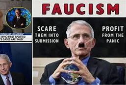 Image result for Fauci Mengele